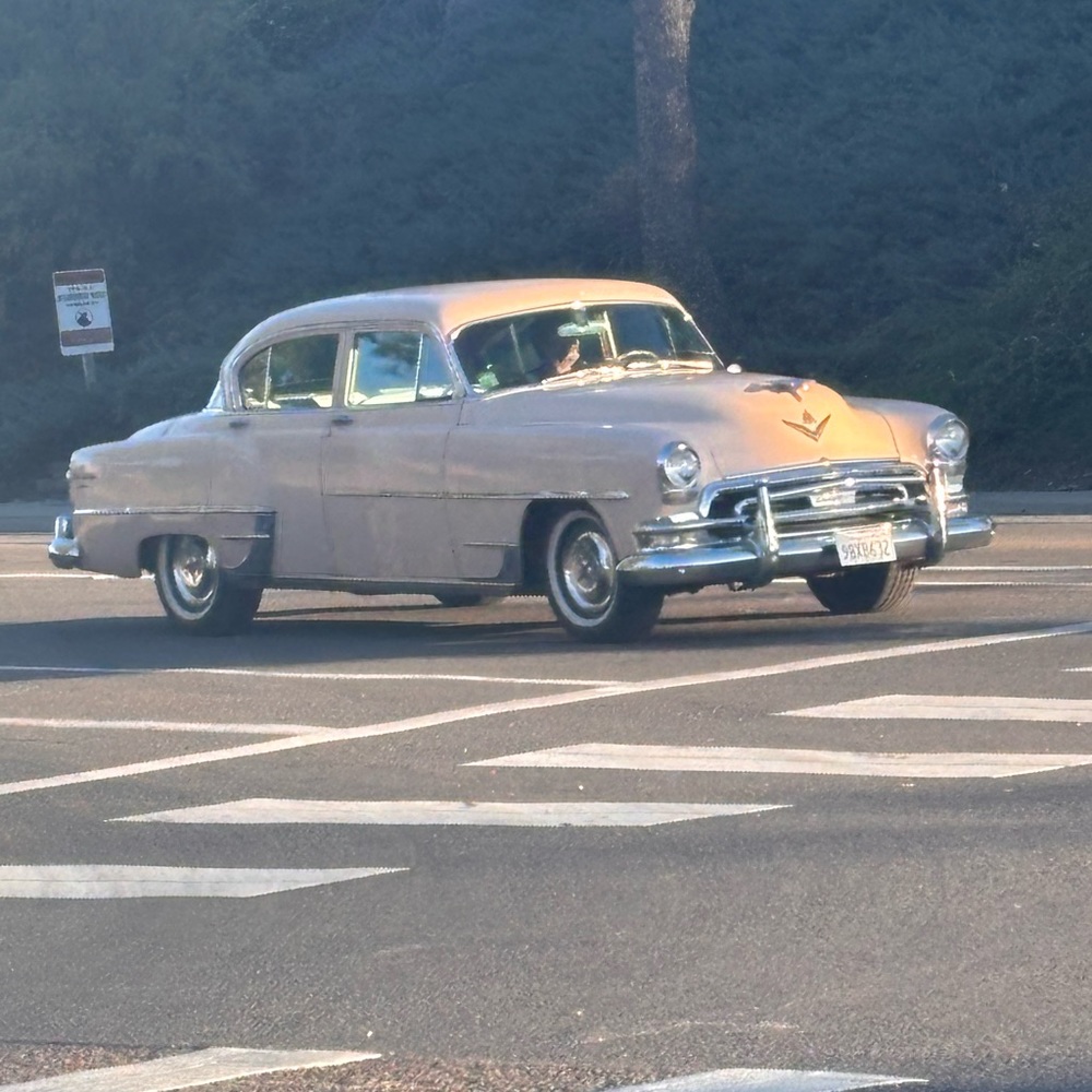 Meet your Posher, Nadine